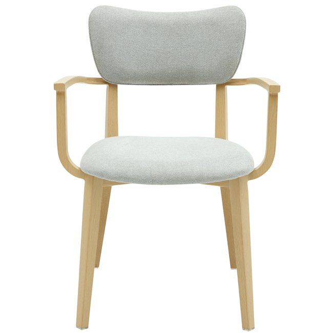 Raquel Dining Arm Chair - Image 4