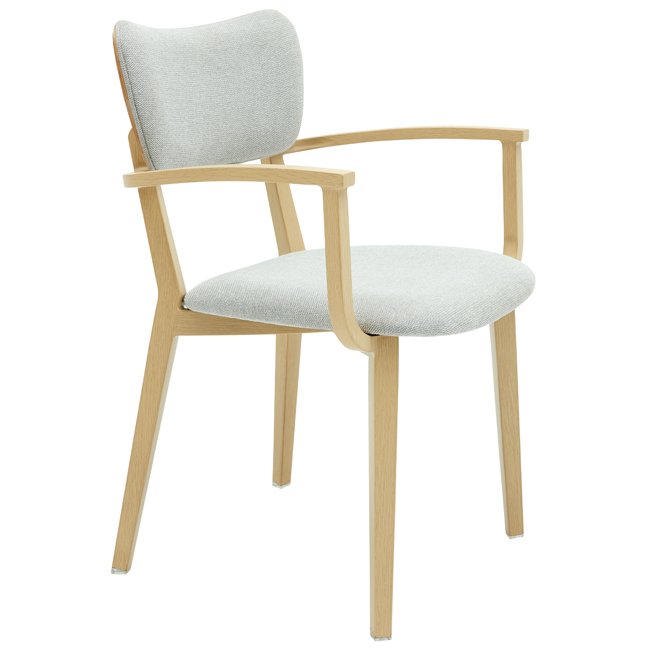 Raquel Dining Arm Chair - Image 5